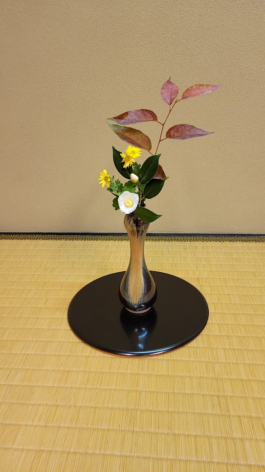 フォトギャラリー