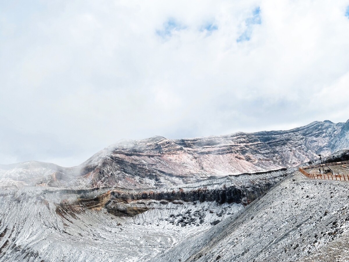 フォトギャラリー