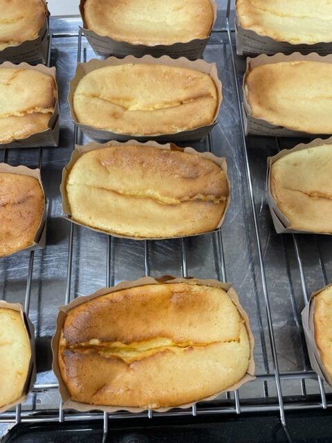 フォトギャラリー